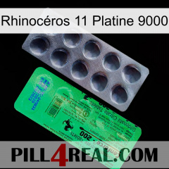 Rhinocéros 11 Platine 9000 new04
